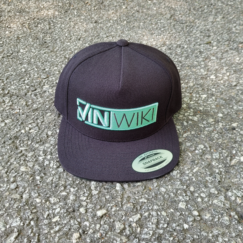3D Logo Snapback Cap VINwiki Online Store